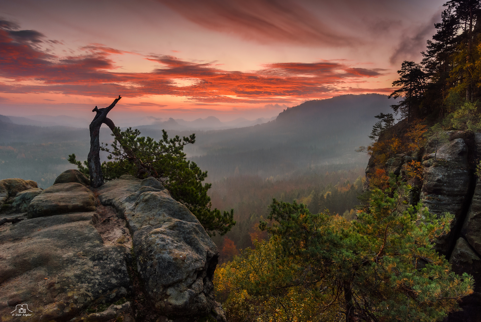 Herbstmorgen an der Stativkiefer