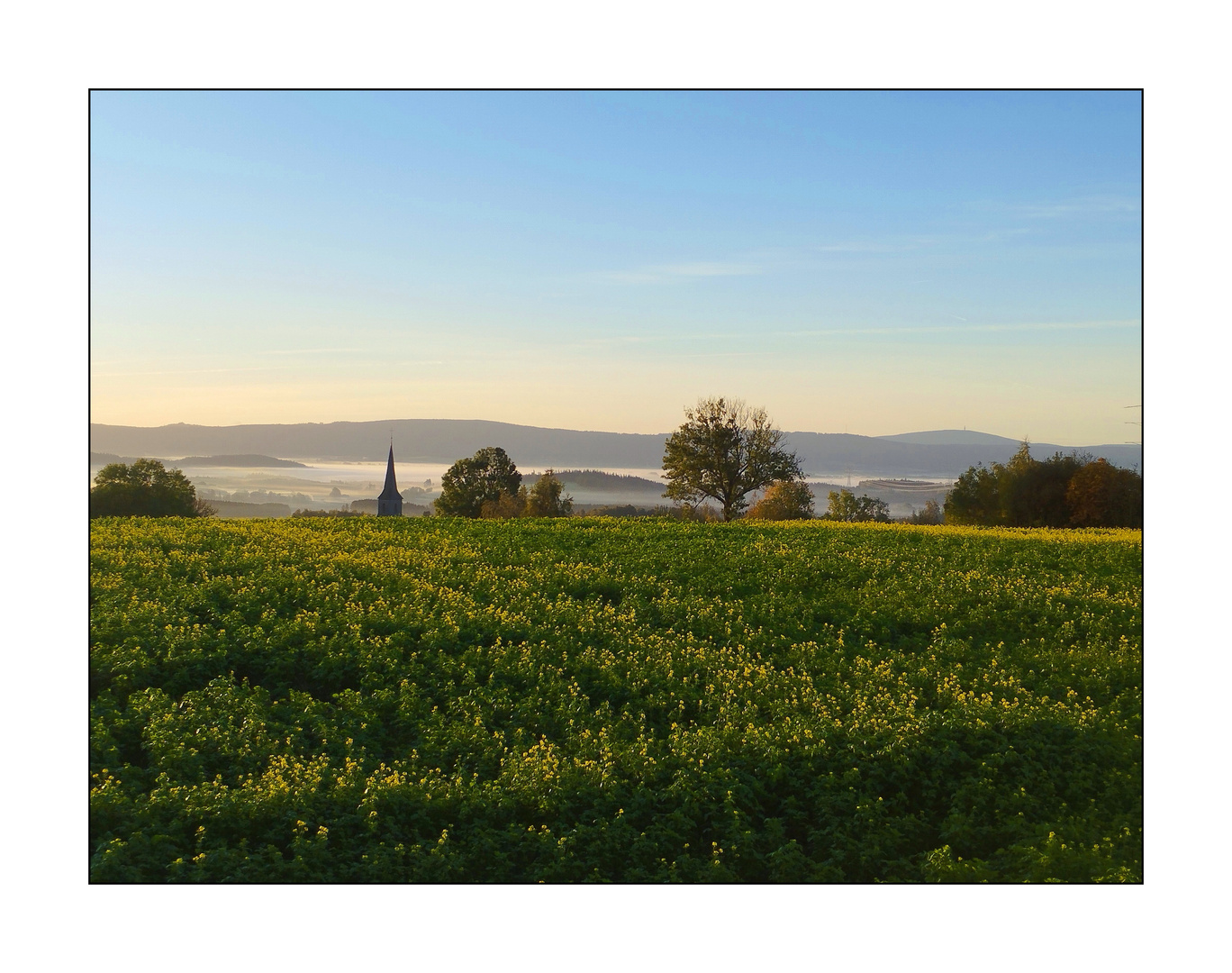 Herbstmorgen auf dem Ahornberg