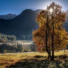 Herbstmorgen auf dem Ahornboden