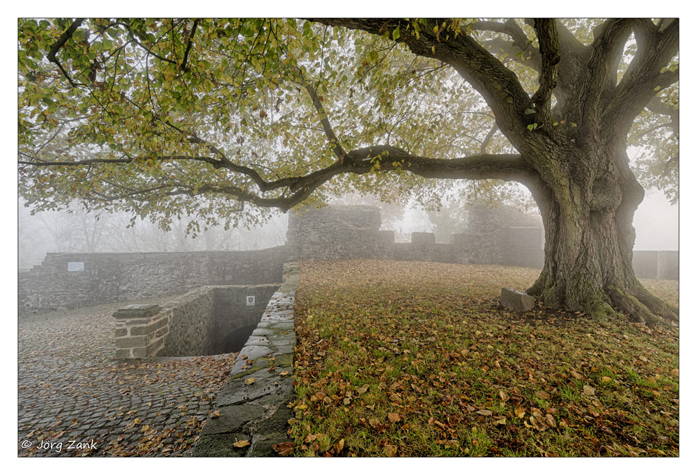 Herbstmorgen auf der Hohenburg