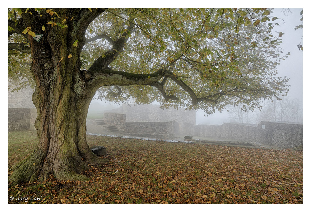 - Herbstmorgen auf der Hohenburg -