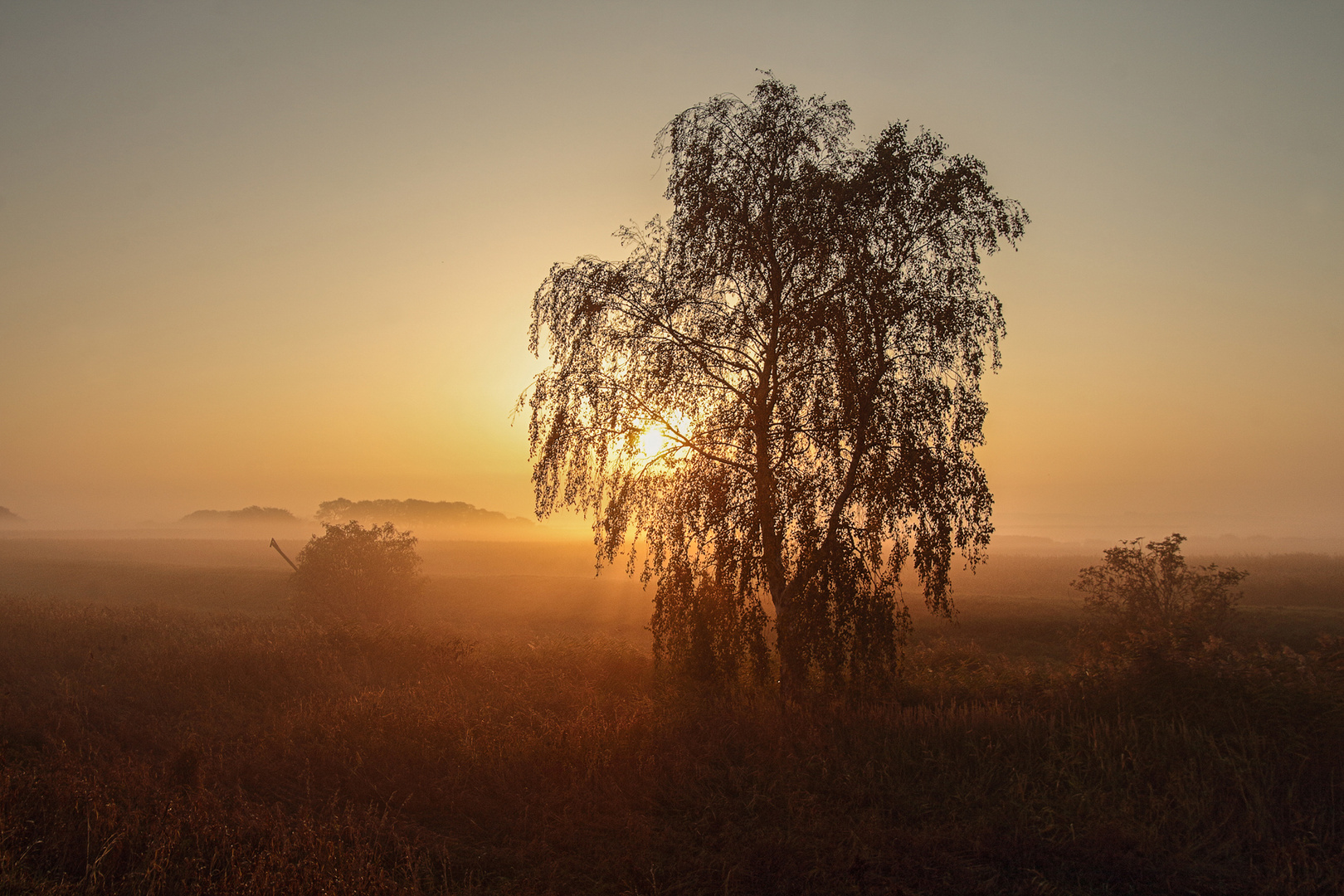 ~ Herbstmorgen auf Ummanz ~