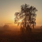 ~ Herbstmorgen auf Ummanz ~