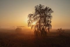 ~ Herbstmorgen auf Ummanz ~