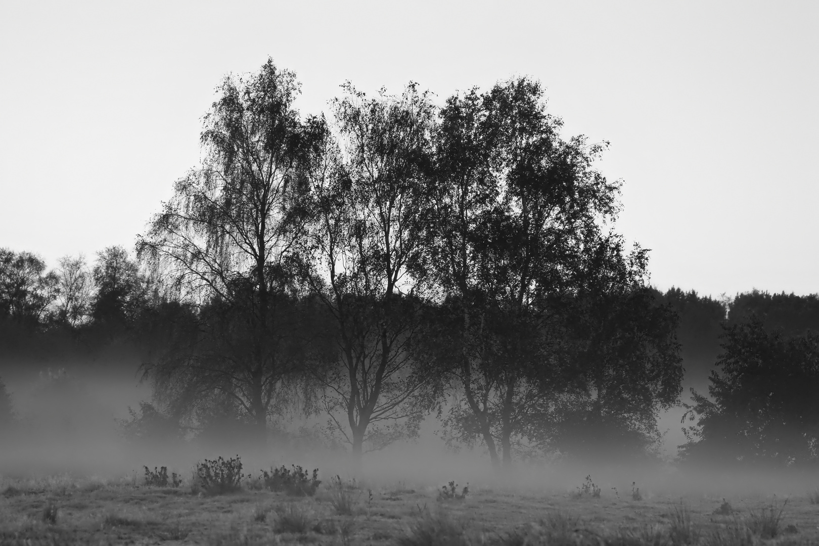 Herbstmorgen - autumn morning