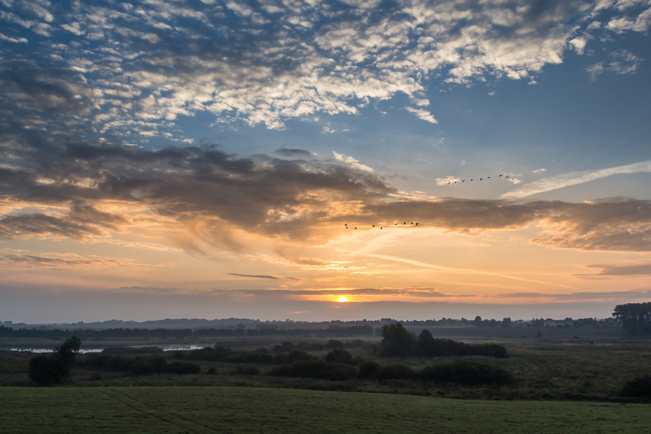 Herbstmorgen