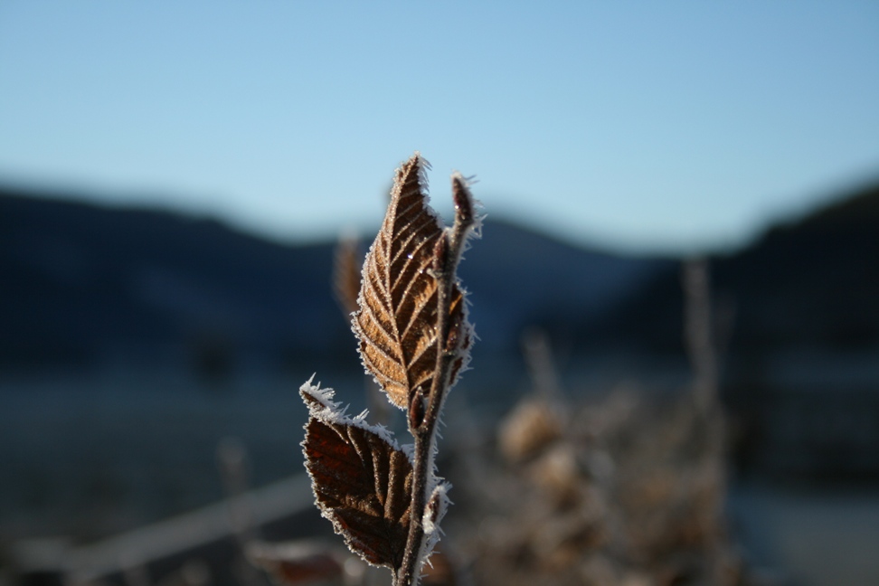 Herbstmorgen