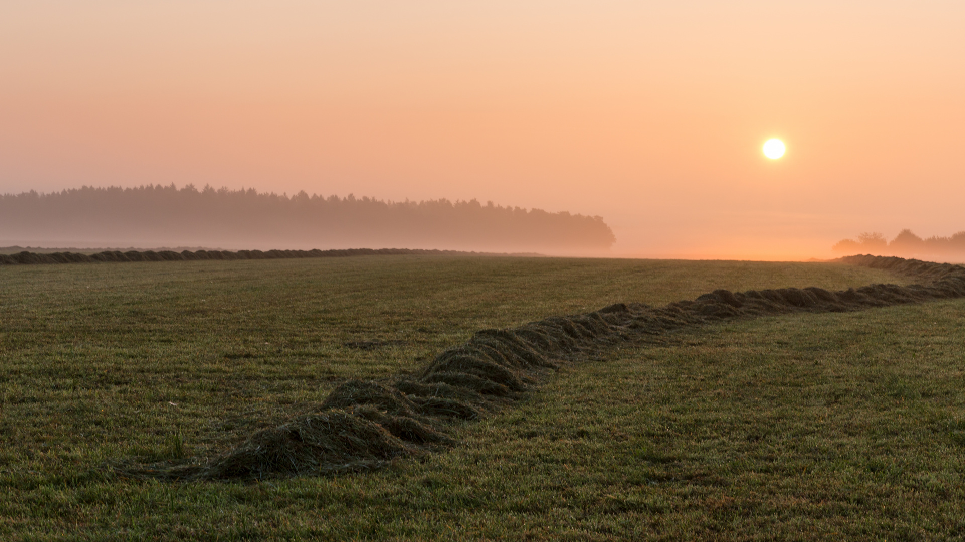 Herbstmorgen