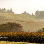 Herbstmorgen