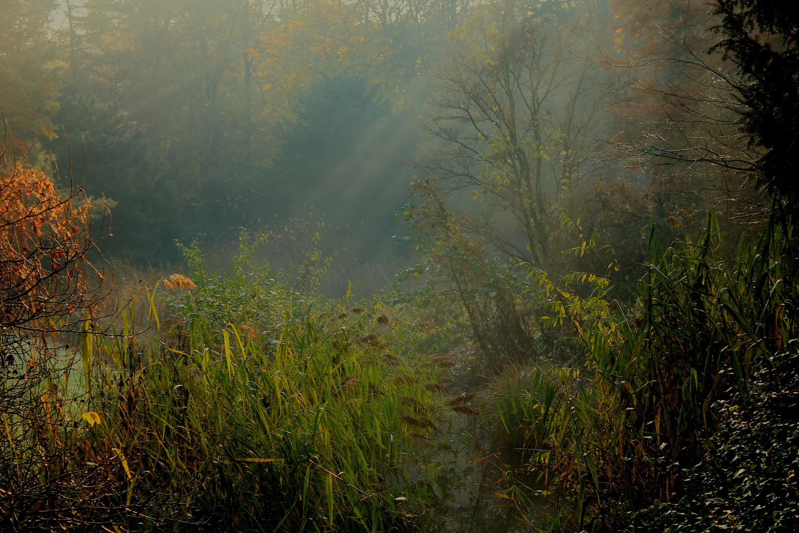 Herbstmorgen