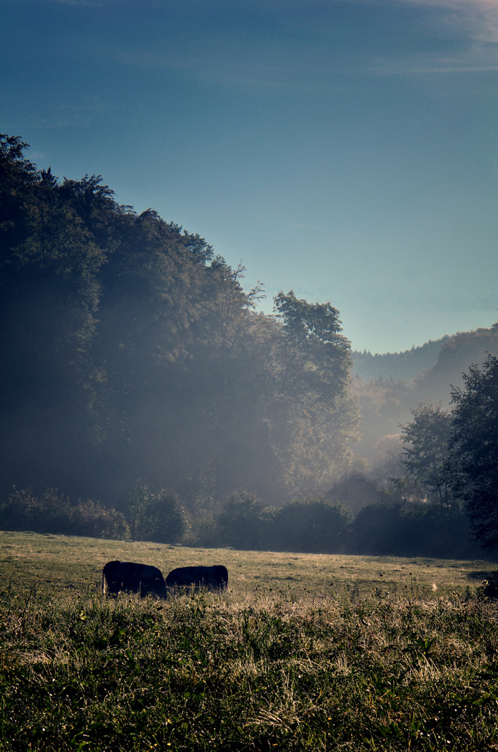 Herbstmorgen