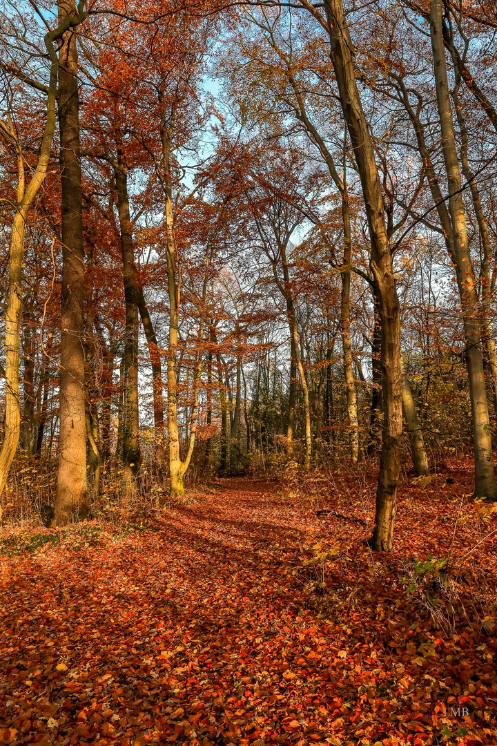 Herbstmorgen