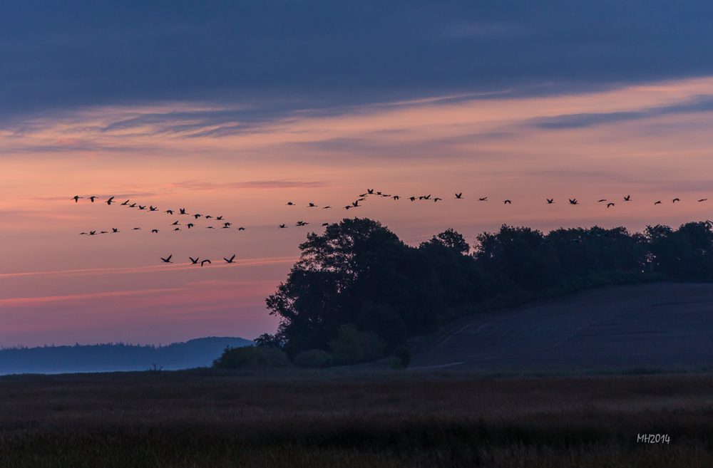 Herbstmorgen bei Barth