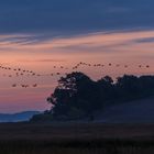 Herbstmorgen bei Barth