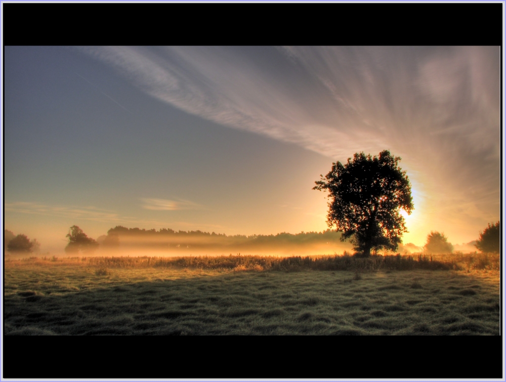 Herbstmorgen bei Bodennebel