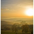 Herbstmorgen bei Burg Greifenstein