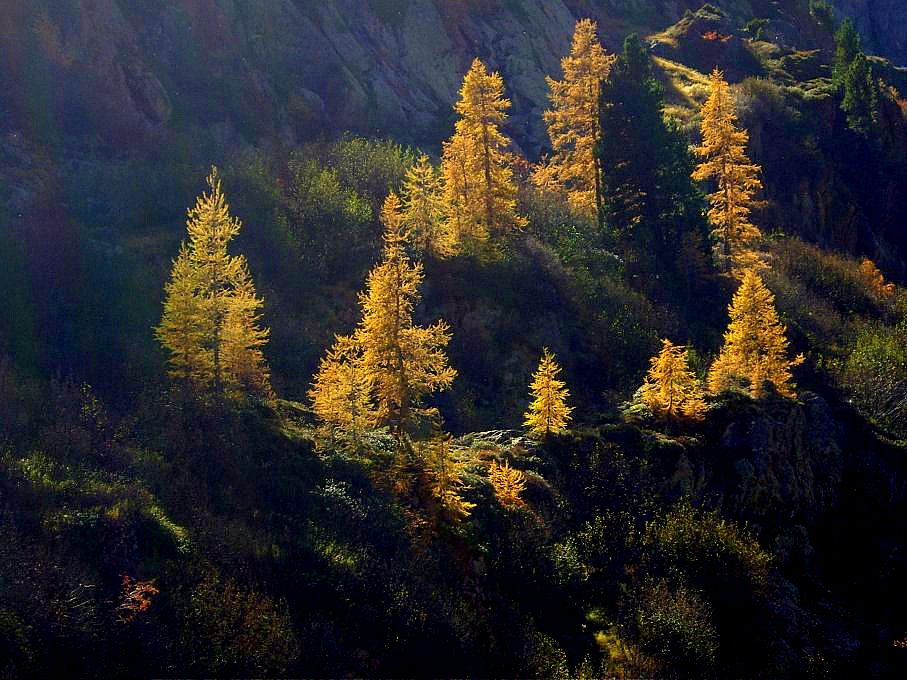 Herbstmorgen bei Emosson VS