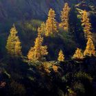 Herbstmorgen bei Emosson VS