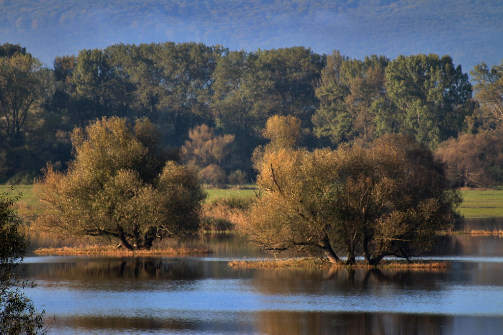 Herbstmorgen bei Fluss