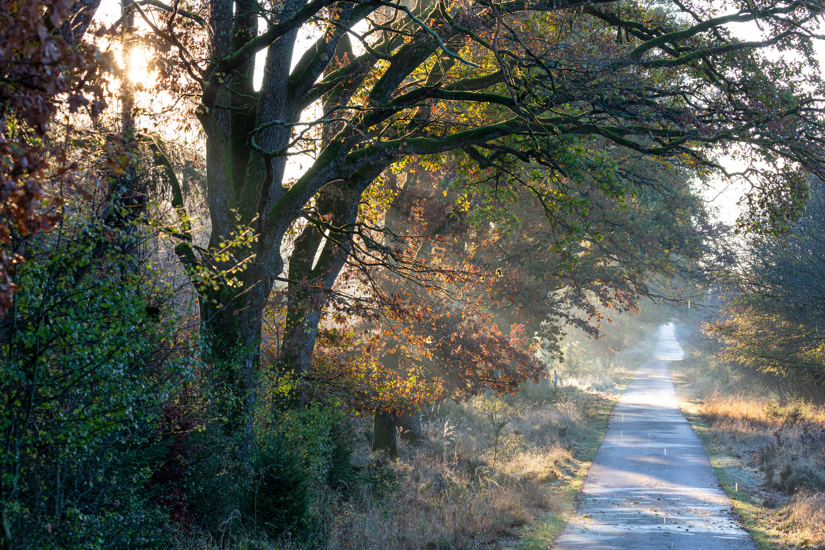 Herbstmorgen