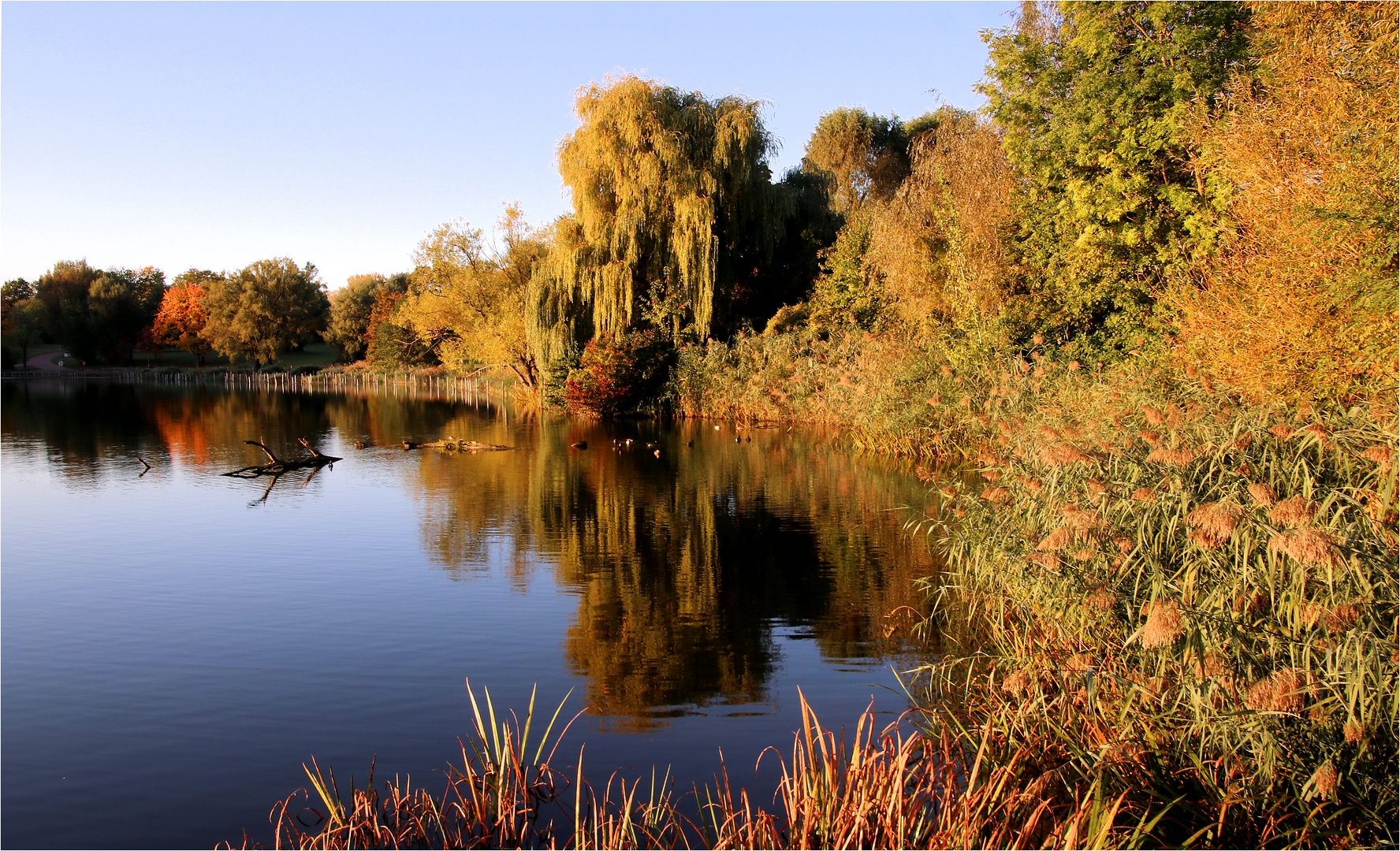 HERBSTMORGEN 