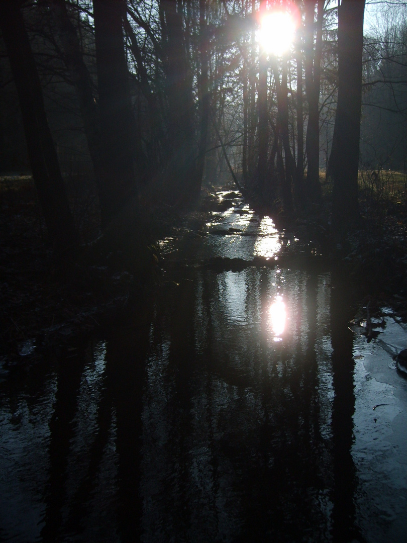 Herbstmorgen