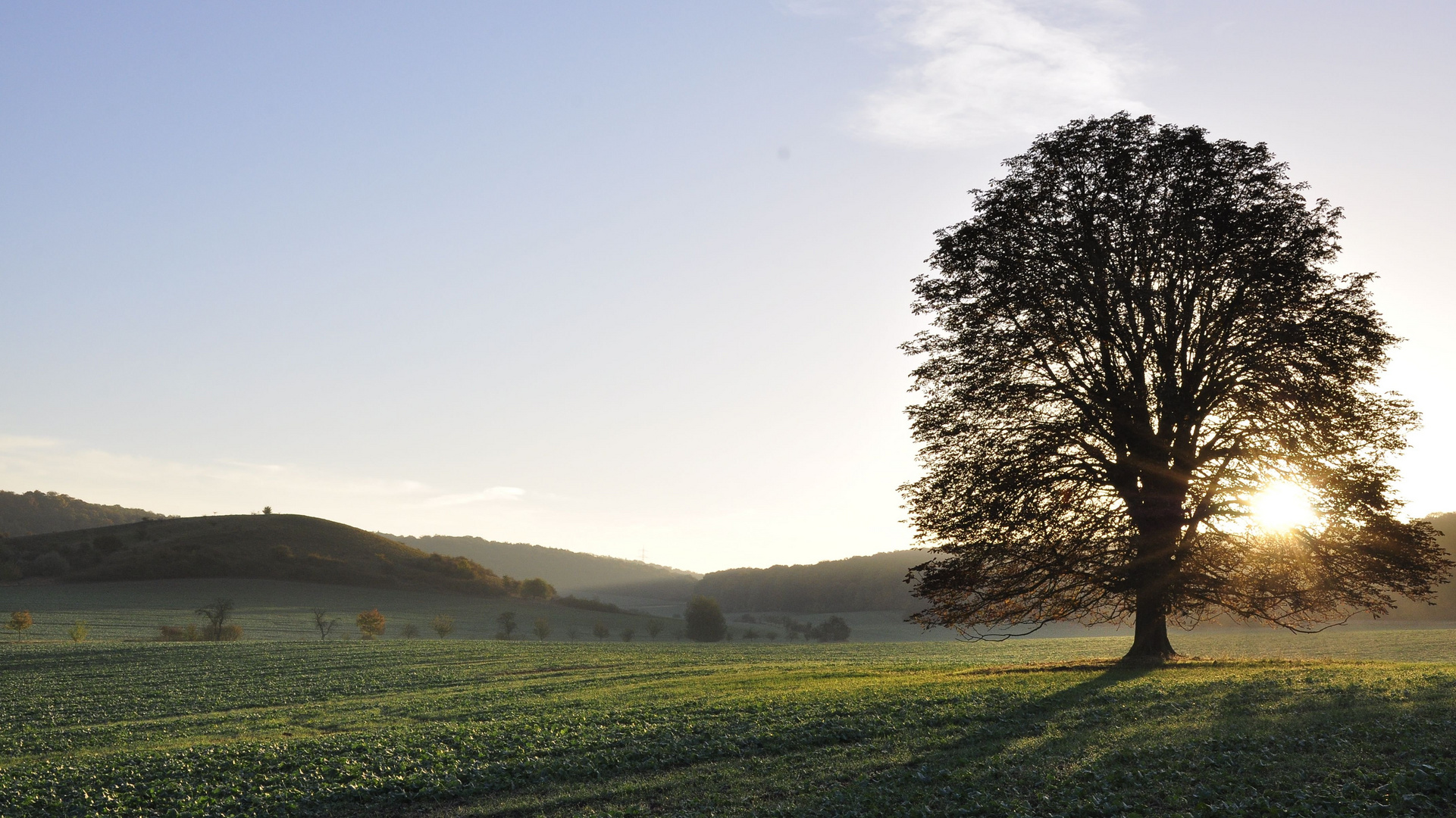 Herbstmorgen