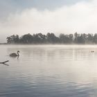 Herbstmorgen