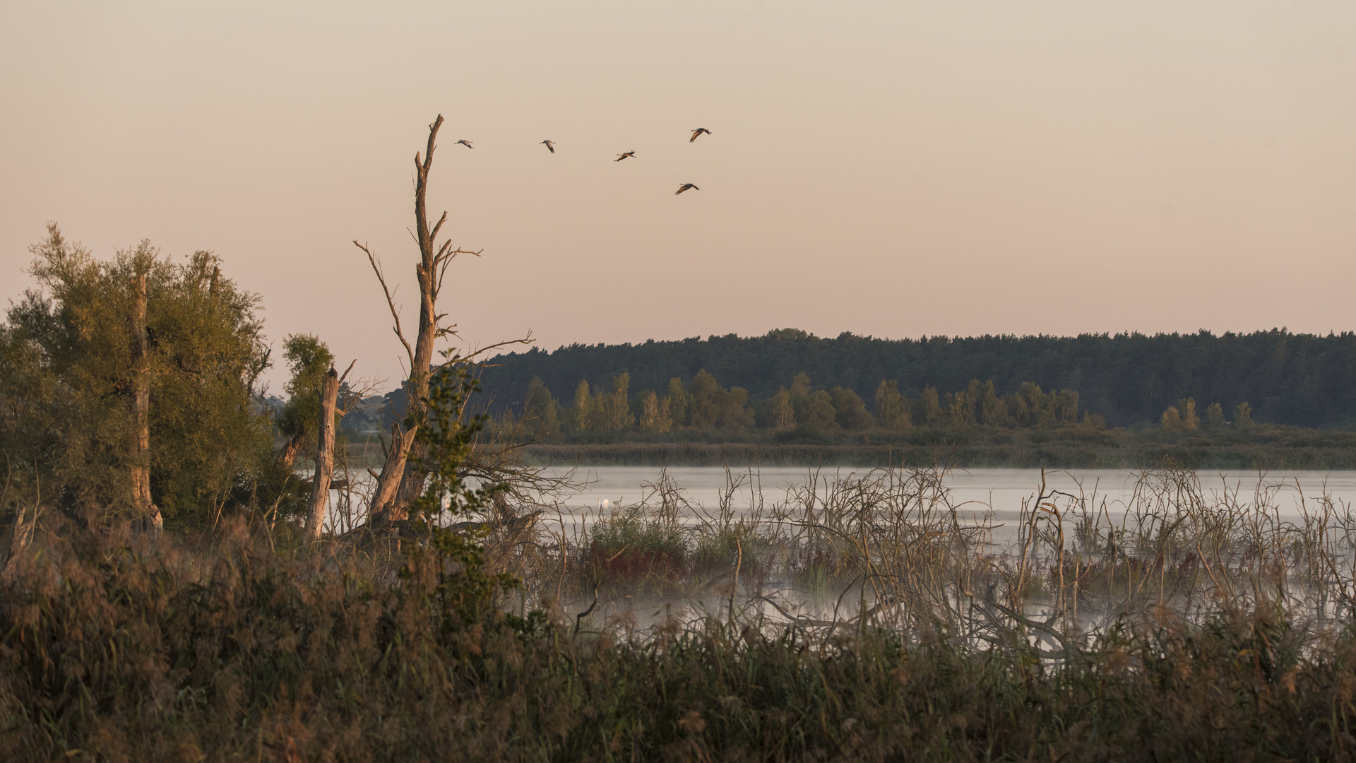 Herbstmorgen