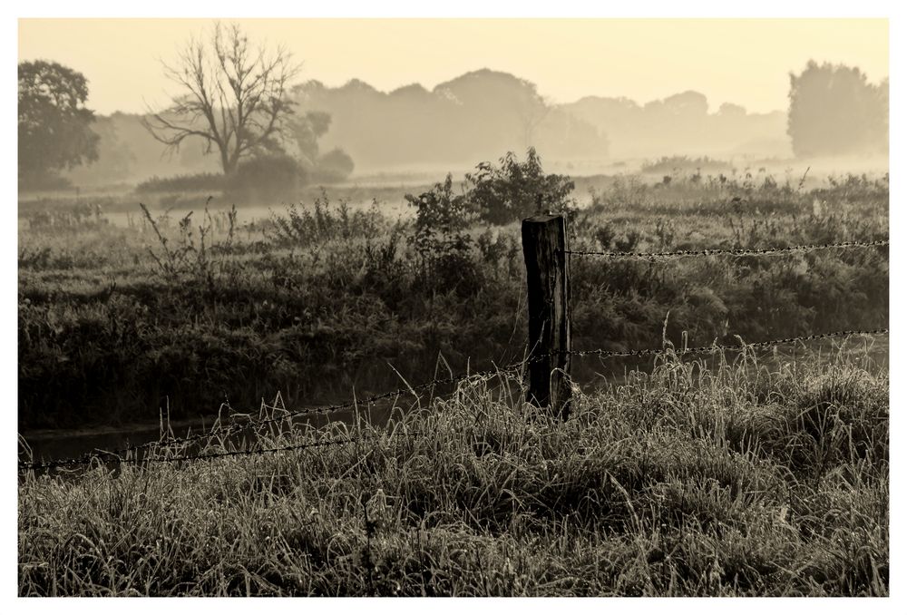 Herbstmorgen