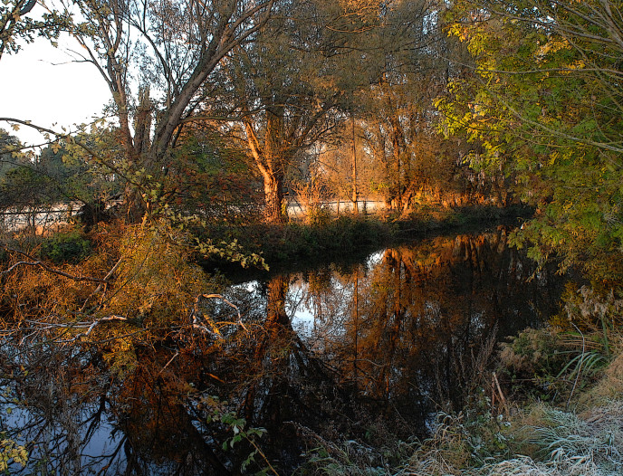 Herbstmorgen