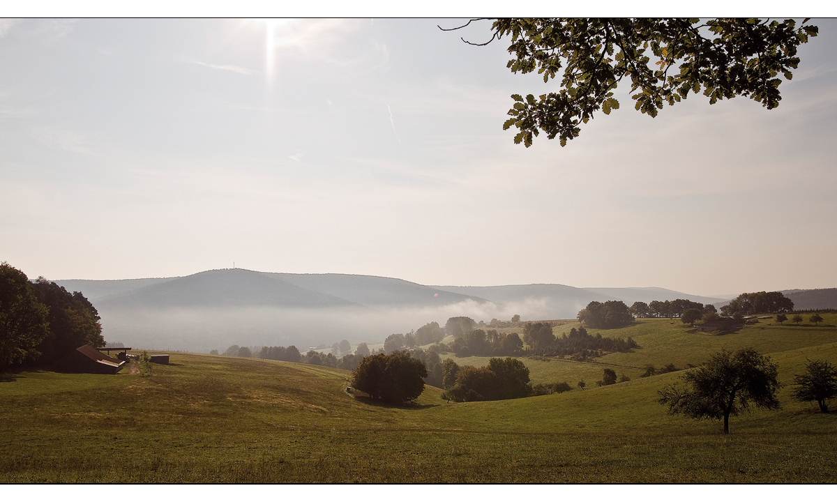 Herbstmorgen...