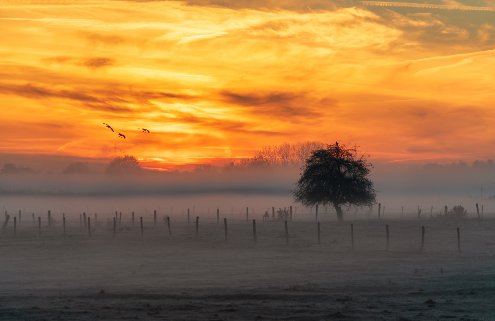 Herbstmorgen