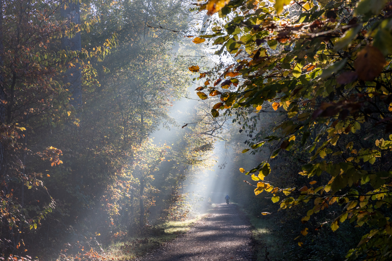 Herbstmorgen