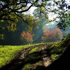 Herbstmorgen, die Zweite