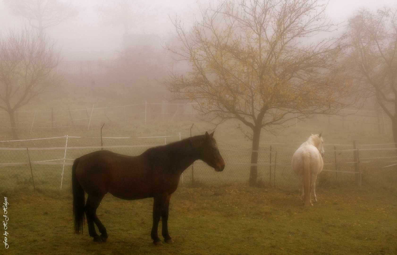 Herbstmorgen