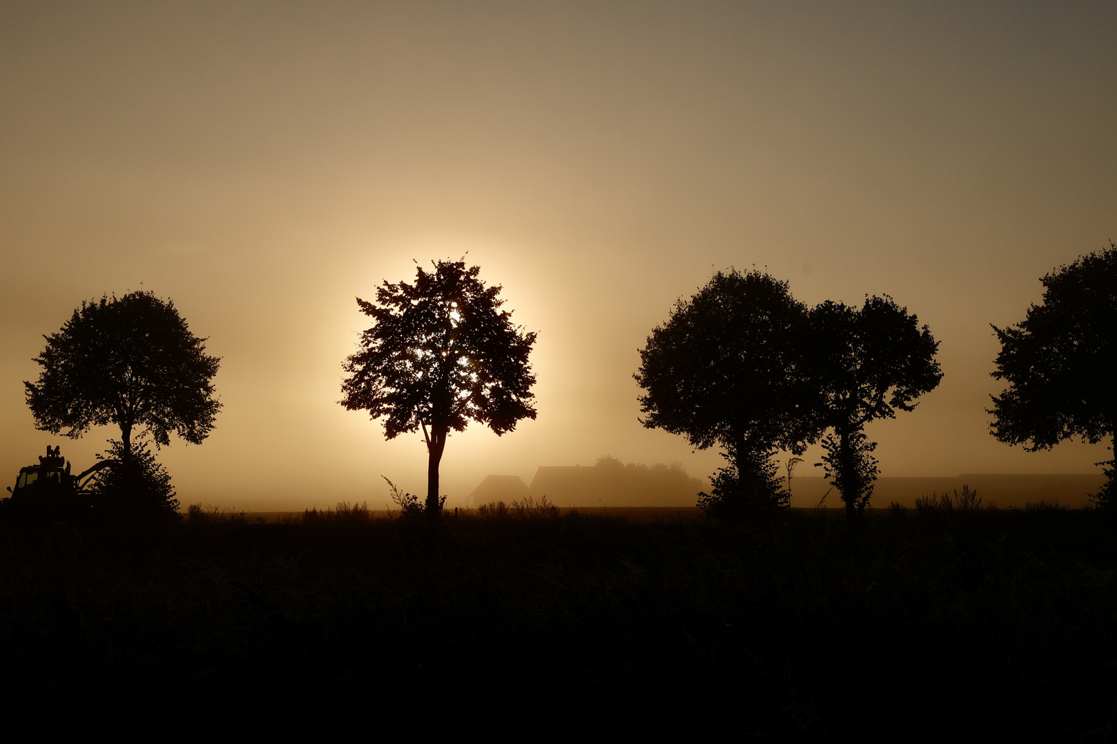 Herbstmorgen 