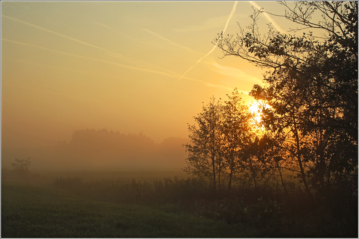 Herbstmorgen