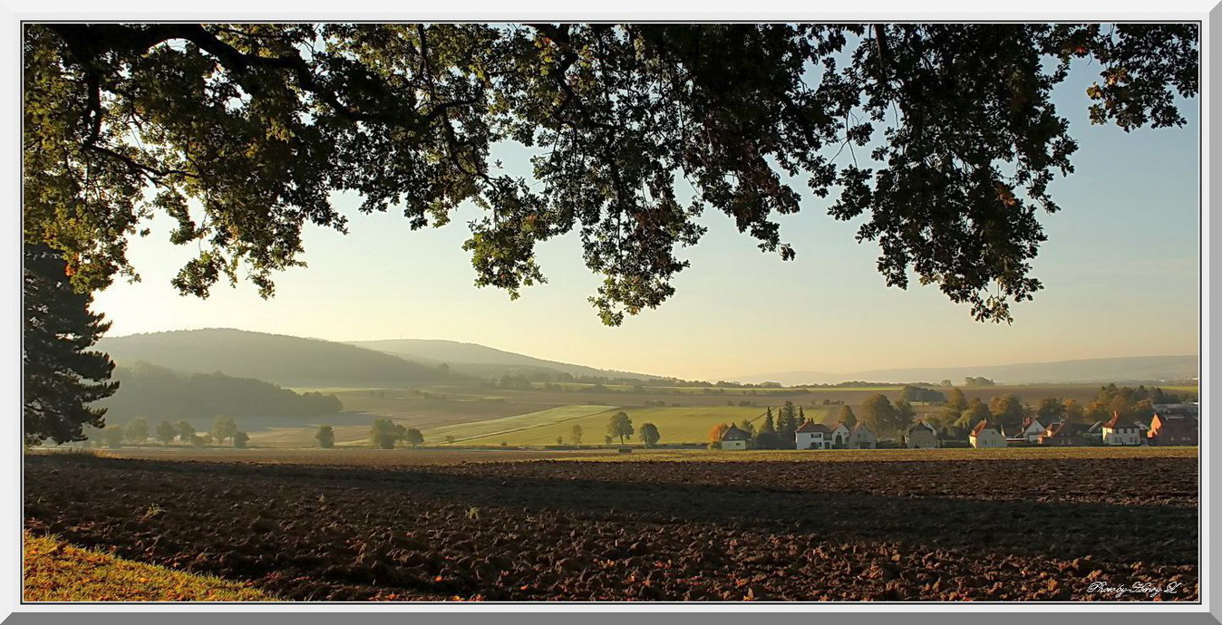 Herbstmorgen