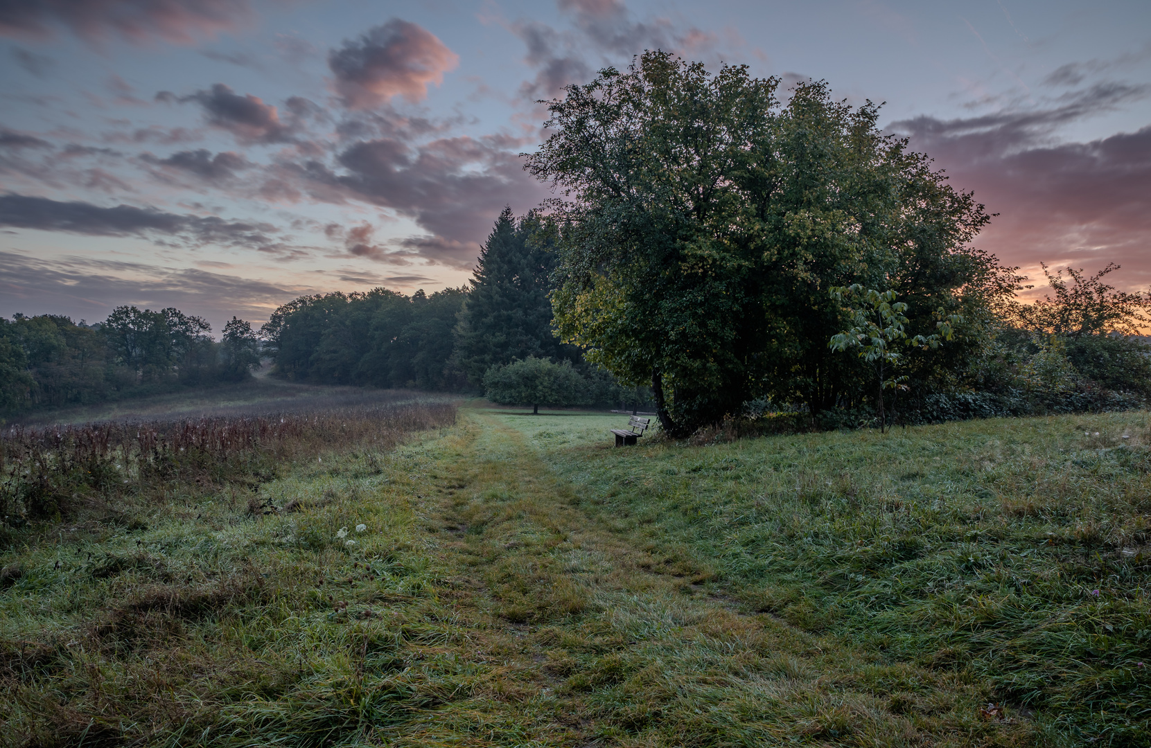 Herbstmorgen