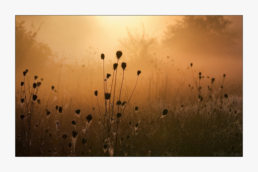 Herbstmorgen