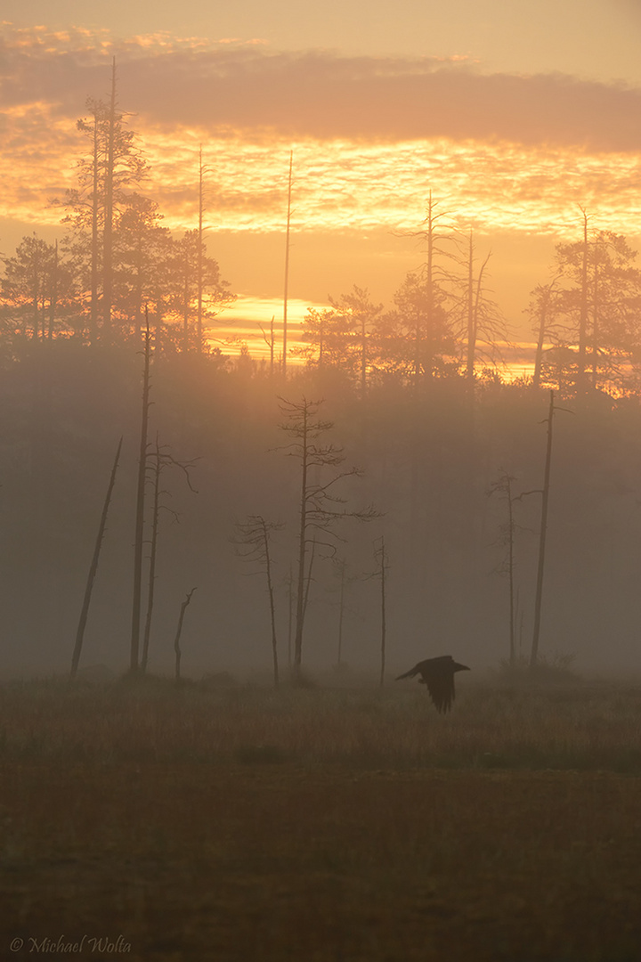 Herbstmorgen