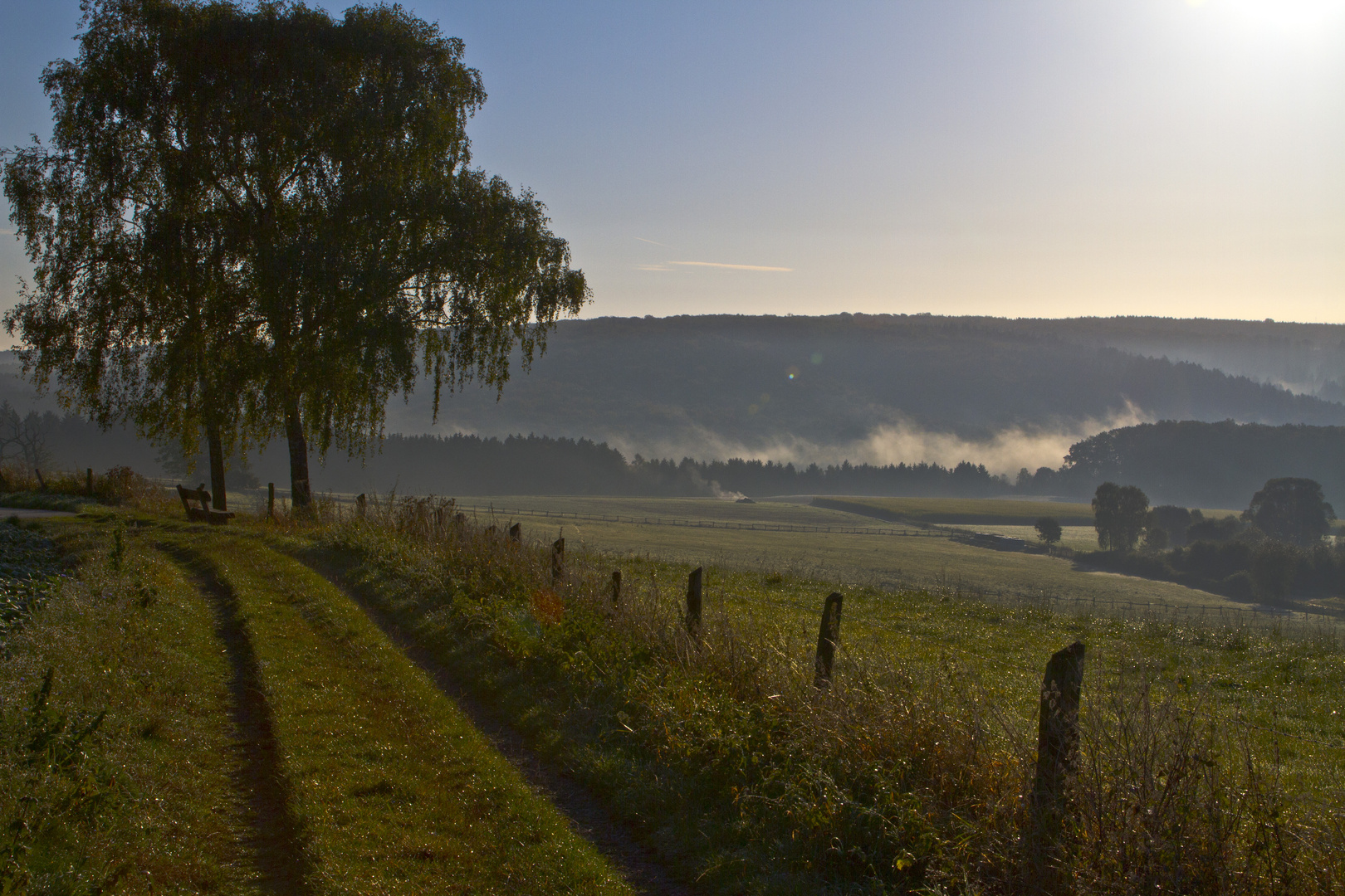 Herbstmorgen