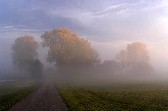 Herbstmorgen