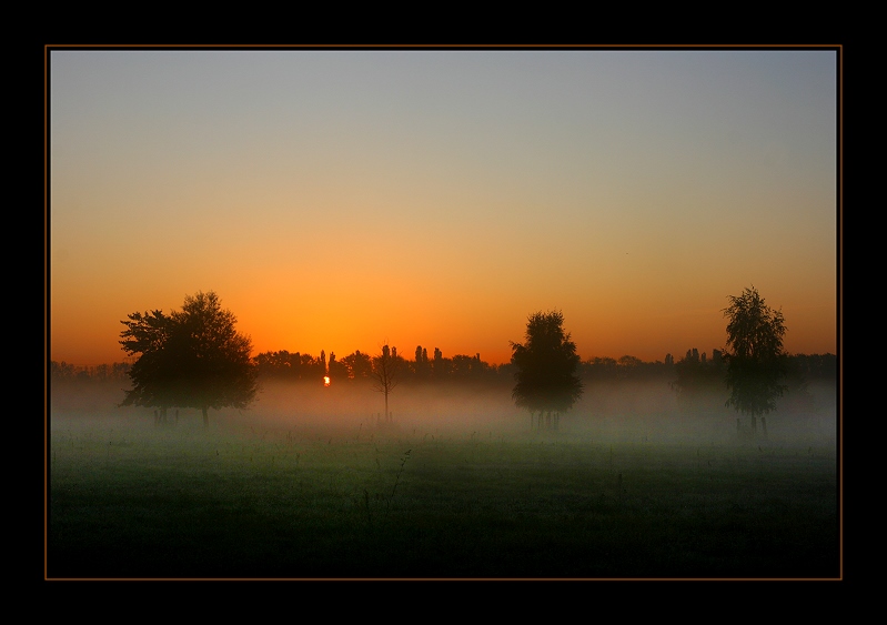 Herbstmorgen