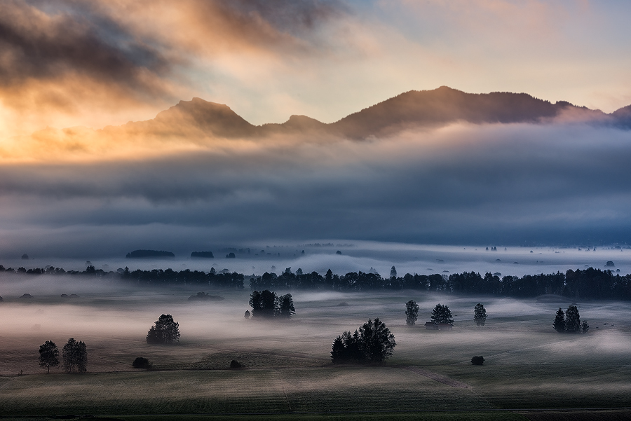 Herbstmorgen....