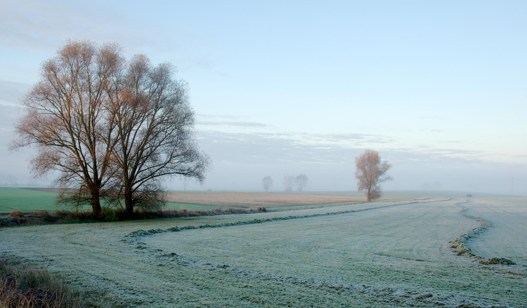 Herbstmorgen