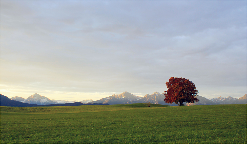 Herbstmorgen ...