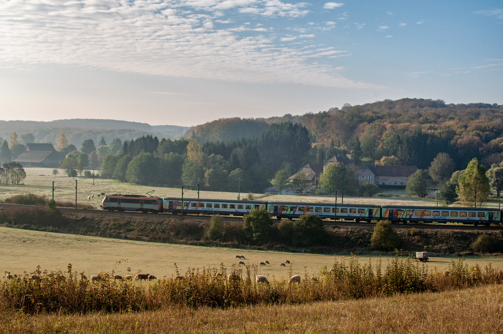 Herbstmorgen