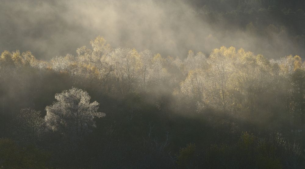 Herbstmorgen